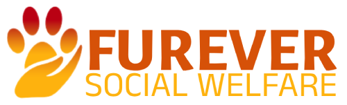 Furever Social Welfare Foundation
